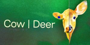 Cow|Deer